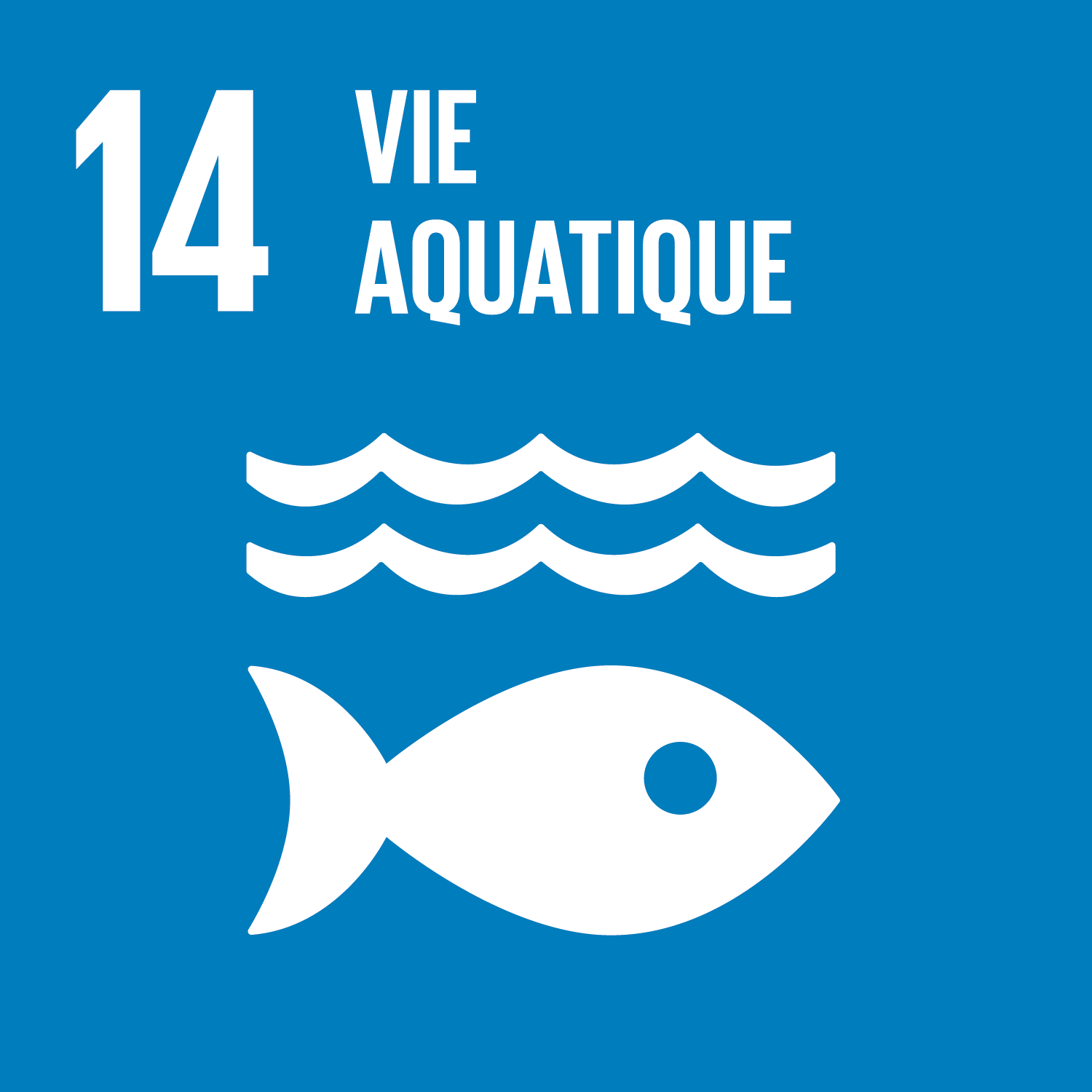 vie aquatique - poisson