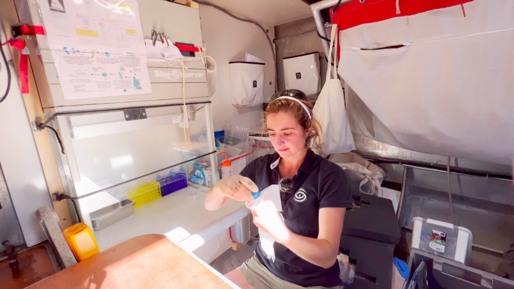 prelevement microbiologique à bord voilier iris