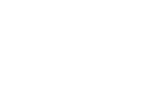 united nations decade