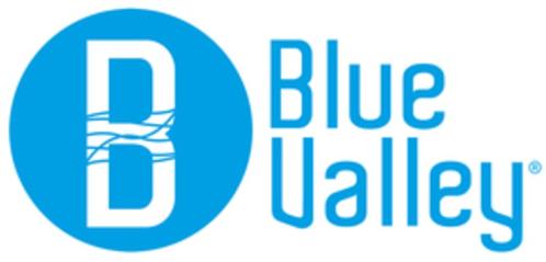 logo blue valley